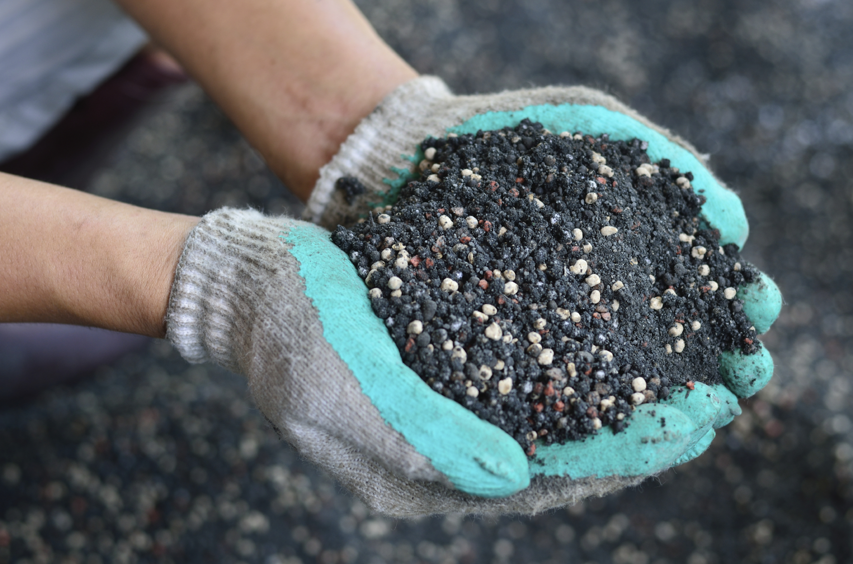 What's the difference? Urban and Rural soils